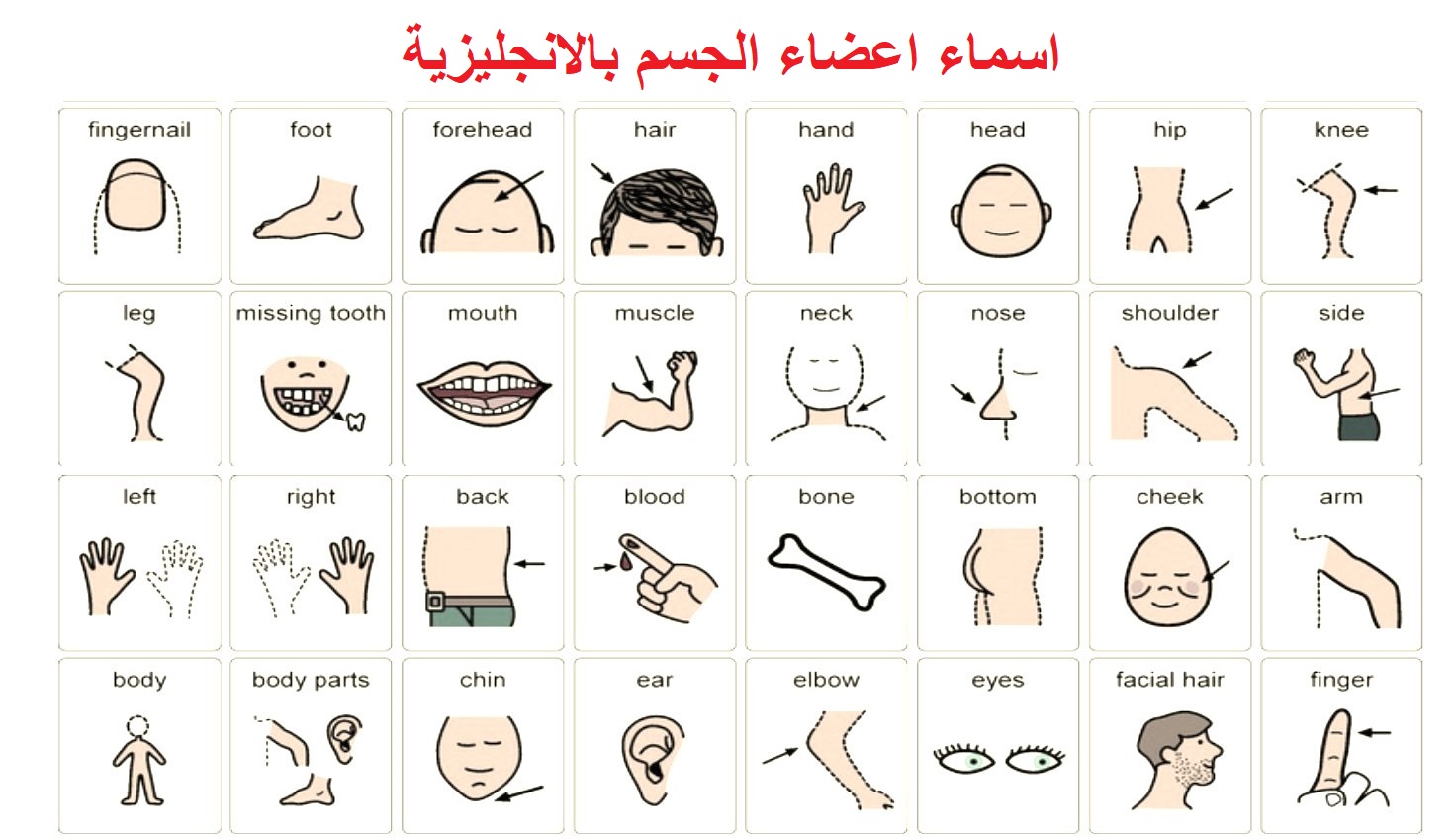 مرض بالانجليزي