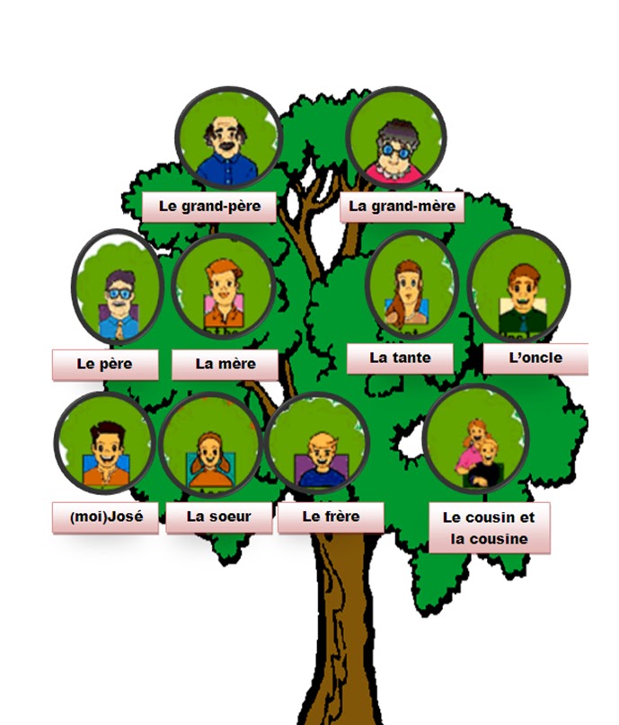 شجرة العائلة بالفرنسية Arbre Genealogique تعلم اللغة الفرنسية