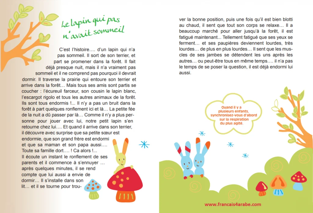 histoire en français pour les petits enfants avant de dormir