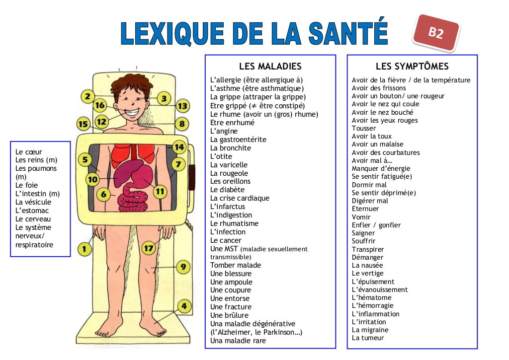 lexique de la santé Les maladies et les symptômes en français